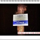 『백두대간』이 땅의 산줄기(山經)를 찾아서 [10차 큰재-신의터재] | 이미지