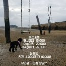 개의꿈 네이버블로그