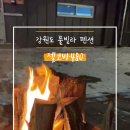 젤코바480 이미지