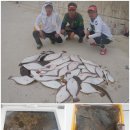 광어 루어 시즌 본격 돌입 이미지