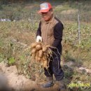 병규농장 이미지