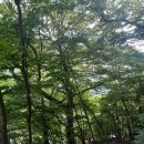 지리산 칠선계곡 위 서암정사 이미지