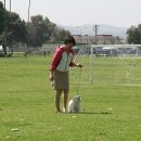 Blue dog club 이미지