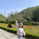 율곡수목원(3) | 율곡수목원 튤립이 반겨주는 파주 주말 나들이