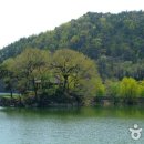 환산정 Daum카페
