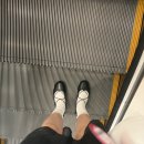 하모니카(초·중·고급반) | 0706~0719 여름방학 (임신 29주~30주)