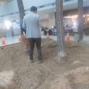 인천국제공항공사 - 1터미널 밀레니엄홀 이끼가든♥