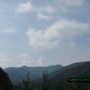 오동나무 발전소 이미지