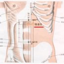 [07] 족태양방광경의 오수혈 (지음.통곡.속골.곤륜.위중) 이미지