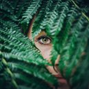 한국찹쌀순대 이미지