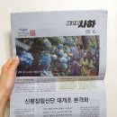 사하구-06 이미지