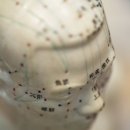 예림한의원 이미지