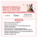 혜화어린이집 | 대학로&amp;혜화 어린이뮤지컬 “아기돼지 삼형제” 아기가 조금 시끄러워도 괜찮아요, 부담없이 즐기는...
