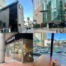 영커피동래 | 온천장 스타벅스 3곳 비교 동래허심청점 온청장역DT점 온천장역점 카공 콘센트 주차 총정리