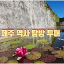 우리 가족 제주 역사·문화 탐방 | 한국 제주 신화와 역사를 따라가는 프라이빗 탐방으로 만나는 깊이 있는 제주 여행