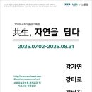 2025년 07월 공연 기획공연 티스토리