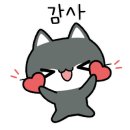 고양이미용 캣어스 이미지