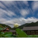 꽃이있는풍경 이미지