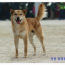 바우 이미지