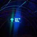 화암등대길2(입구) | 강원도 정선 화암동굴 입장료, 주차, 모노레일, 관람시간 후기