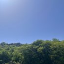 개운농장 이미지