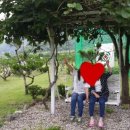 둘레길펜션청솔 이미지