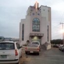 진도개 사랑 이미지