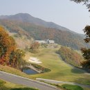 Hole in One(홀인원) 이미지