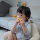 계곡식당 네이버블로그