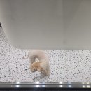 경기계량소앞 이미지