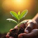 천연아로마테라피 DIY 이미지