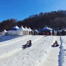 태백산목장 이미지