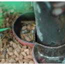 펫스토어 이미지