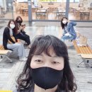 마리올라 이미지