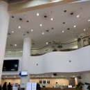 휘닉스평창 콘도미니엄(1차) | 휘닉스평창 오렌지동 스탠다드콘도 화내고 온 썰