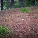 푸른마음정신건강의학과의원 이미지