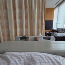 회진야식