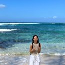 월정리마을회 이미지