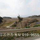 대불주거4로 이미지