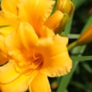 부안약국 이미지