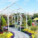 살곶이길 이미지