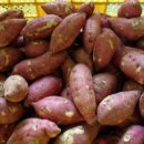 땅끝황토 이미지