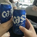 울산 별뜨락 카라반 후기온앤온