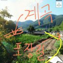 임고농장 Daum카페