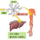 로그짐 서초우성점 이미지