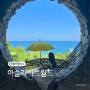 동그라미 꽃방 앞 | 한국에서 가장 아름다운 미술관 ‘하슬라아트월드’ 포토스팟 위치 및 촬영Tip 📸