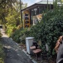 소리마당 | 🍽️ 소리마당 방문 후기: 밥상 스케일이 역대급! (feat. 정겨움 한도초과) 🍚✨