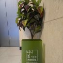 봄1빌딩 | 다시봄사진관 종로사진관 프로필 사진 후기｜분위기 있게 담은 인생샷 체험기