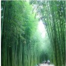 경일아파트 앞 주도로A | 7~8 구간 (태화강 전망대 ~ 방어진항)