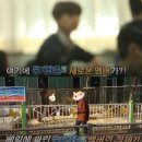 꼬마둥지 이미지